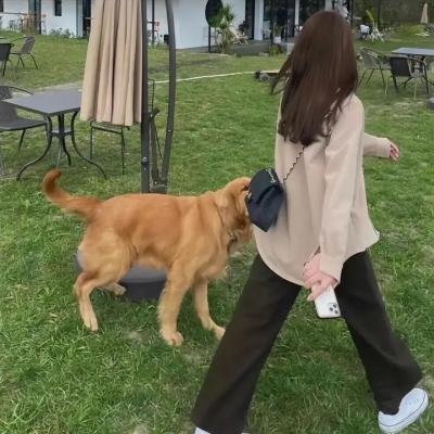 计中计